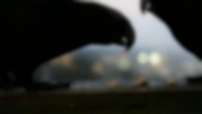 Richard Frater, Stills from video *Studies of the urban kaka* taken in Poneke, Wellington, New Zealand; 2015-ongoing